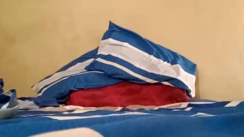 Snapshot of el131140 chatting on February 22, 7:45 am Sebastin online show from February 22, 7:45 am