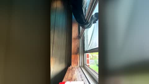 el2ra33fa online show from April 5, 11:50 am