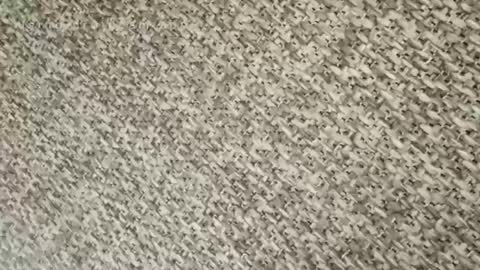 daniel18cmx online show from September 29, 2:54 am