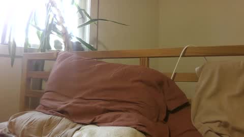 Snapshot of elephantfox chatting on January 9, 8:55 pm fox online show from January 9, 8:55 pm