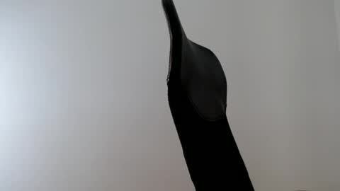 elosocazador online show from October 9, 2:11 pm