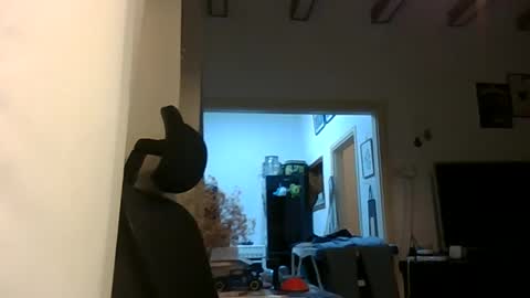 Ariel online show from December 4, 7:10 pm