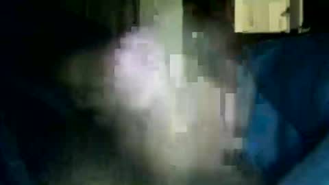 encormoi online show from December 4, 8:43 am