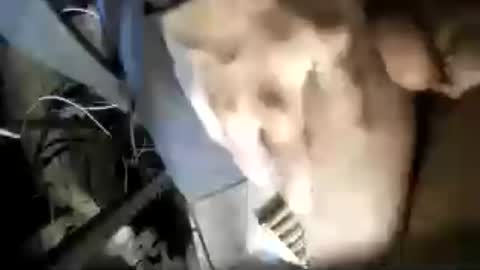 eveline_figeroa3 online show from June 20, 2:22 pm