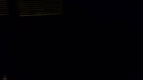 exhibitman69_ldb online show from October 30, 5:09 am