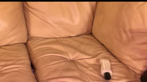 exhibitp online show from November 13, 6:56 pm