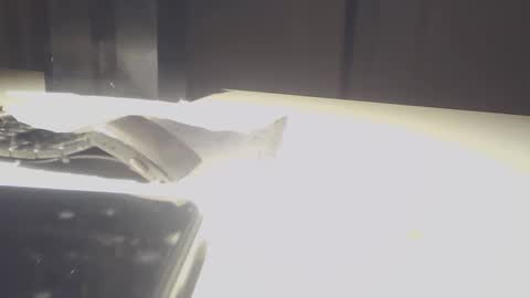 EZCODA online show from February 8, 2:39 am