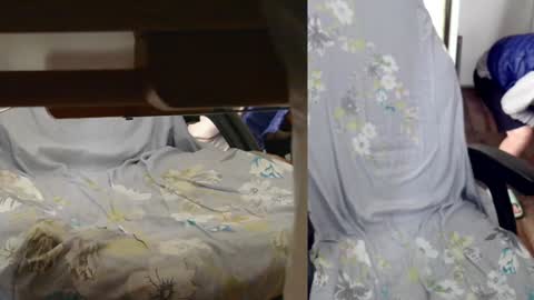 felixlau online show from January 7, 7:43 am