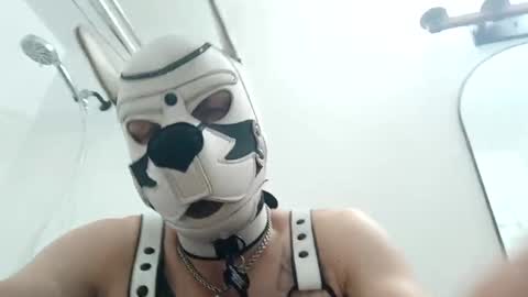 fetishsearch1abdl online show from September 22, 11:21 am