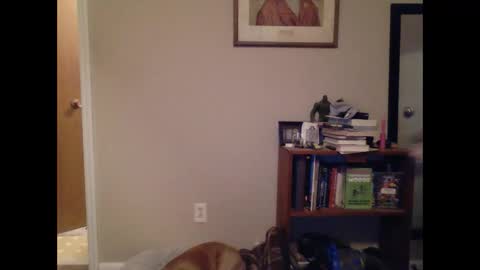 FitBit online show from March 9, 9:46 am