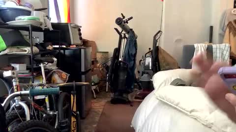 francis keith gibson online show from January 8, 2:03 pm