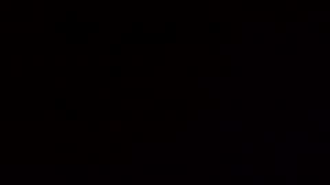 floridaman320 online show from November 11, 6:13 pm