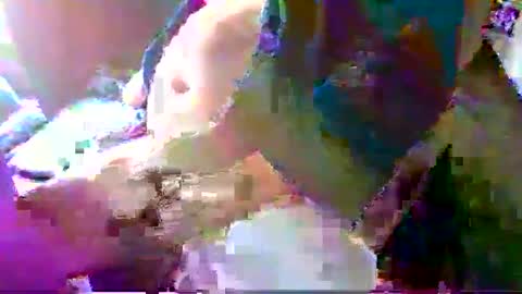 Terry Bangcock online show from January 18, 5:15 pm