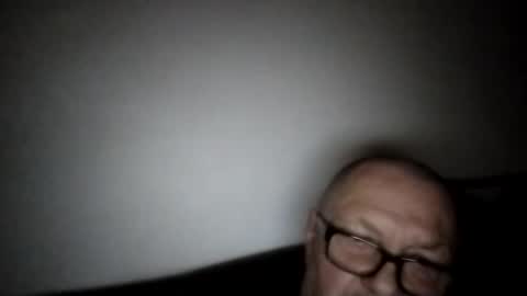 Wolfi online show from February 1, 2:27 pm