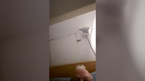 freddybear196258 online show from June 24, 6:27 am