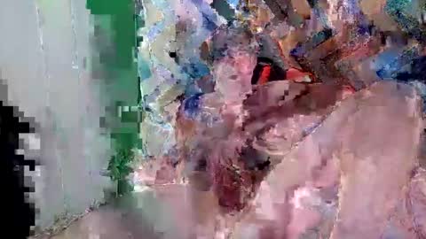 Alex Stone online show from February 1, 3:05 am