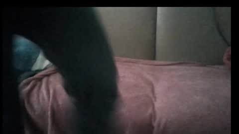 Bruchus online show from February 10, 6:20 am