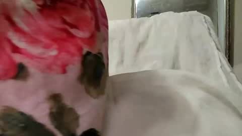 fuckme6801 online show from December 8, 12:19 pm