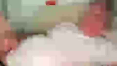 funnyhans online show from August 10, 6:08 am