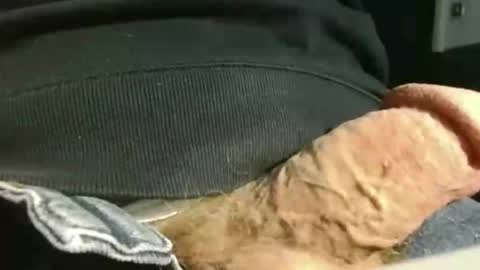 gettingstiff online show from October 1, 4:11 pm