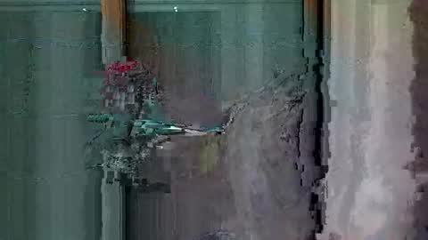 Leo online show from March 2, 9:33 pm