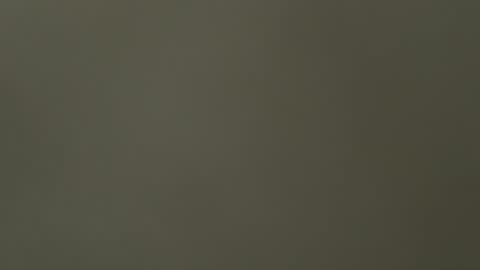 gianf1715 online show from March 1, 8:14 am