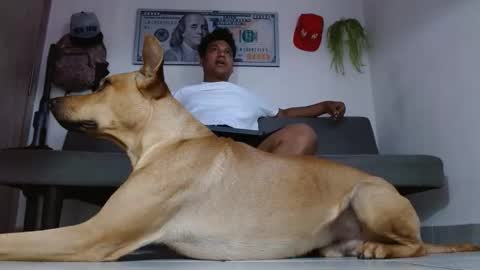 BOSS online show from May 18, 4:33 pm