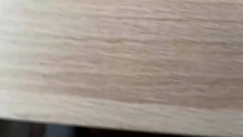 gibon1997 online show from January 14, 12:24 pm