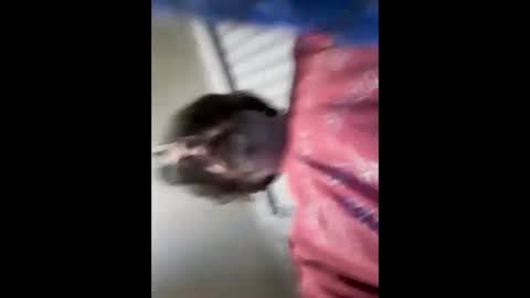 Lord Satan online show from October 31, 9:23 am