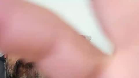 gt7517 online show from April 19, 6:21 pm