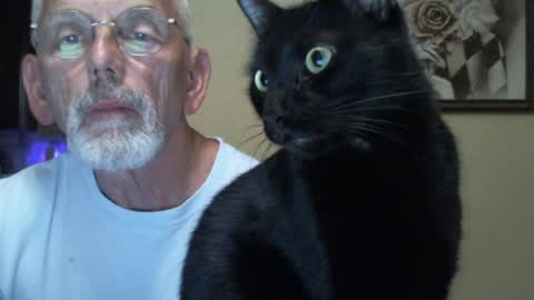 Roy online show from January 2, 9:28 pm