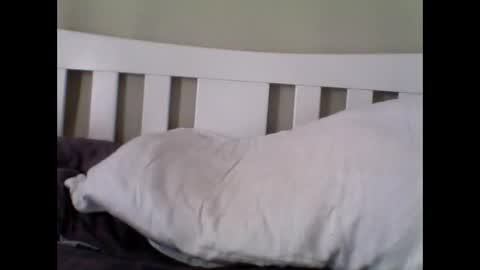 Gulliver online show from November 30, 11:56 am