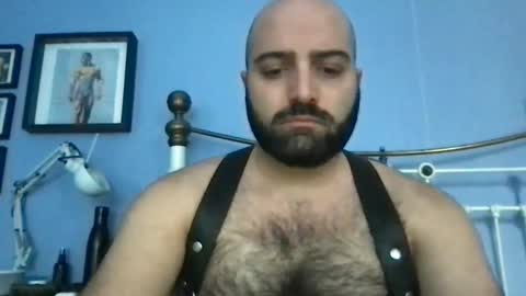 Hairy Guy online show from February 12, 12:01 pm