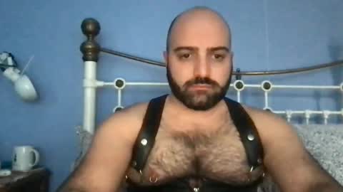 Hairy Guy online show from January 14, 2:22 pm