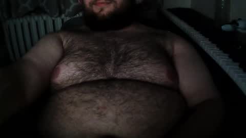 Hairy Bear online show from November 21, 1:04 am