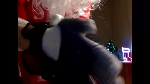 Snapshot of handsomealfie chatting on December 2, 5:57 pm HandsomeAlfie online show from December 2, 5:57 pm