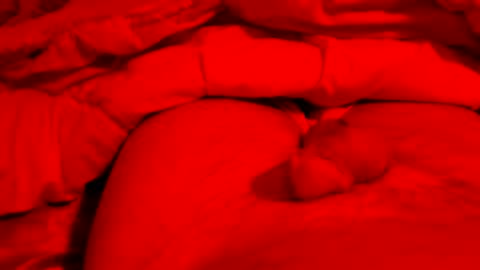 hapyending960 online show from March 15, 8:26 pm