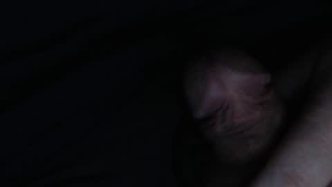 hardboner19 online show from January 25, 5:29 am