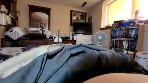 Snapshot of hawkfan1888 chatting on January 25, 9:46 pm hawkfan1888 online show from January 25, 9:46 pm