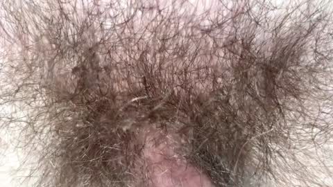 Snapshot of hey_arnold chatting on February 4, 9:10 pm Arnold online show from February 4, 9:10 pm