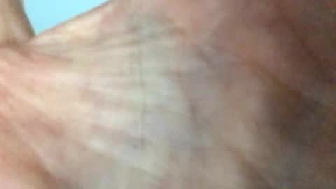 hilltpdave1971 online show from April 12, 1:45 pm