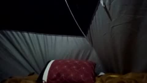 hippiejagain online show from July 20, 2:51 am