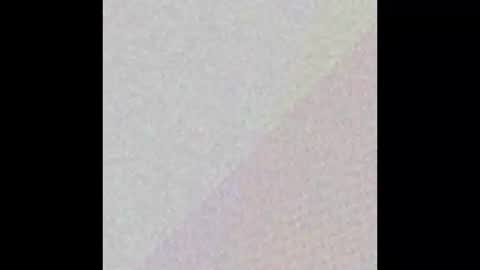 Hung top 4 furry dads online show from March 9, 1:26 pm