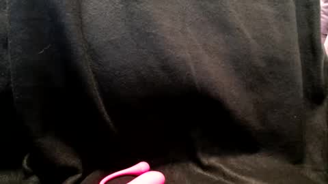 hoiiand48482 online show from January 13, 10:25 am