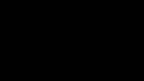 hoiiand48482 online show from December 5, 11:38 am