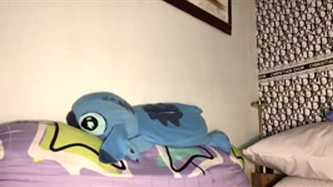 hotfun_joe online show from February 28, 10:03 am