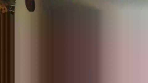 hotmale36xxx online show from December 16, 9:27 am