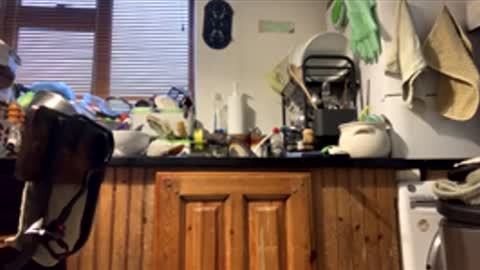 humiliationbucket online show from November 26, 9:01 am