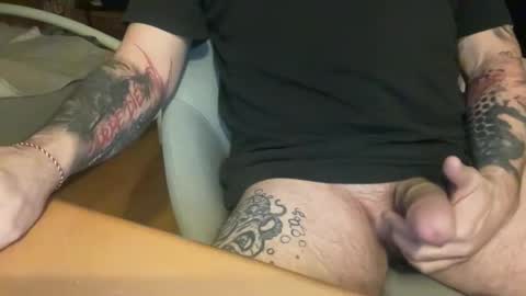 iadorekitties online show from February 3, 8:47 pm