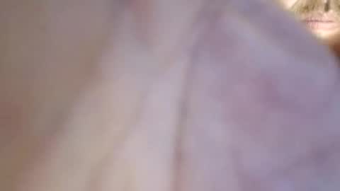 Snapshot of icyfucktoy chatting on October 28, 12:13 am icyfucktoy online show from October 28, 12:13 am